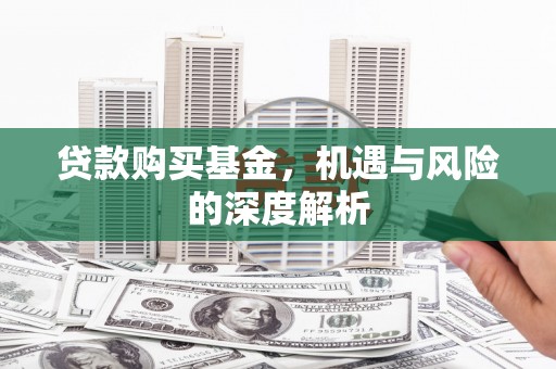 洋县贷款购买基金，机遇与风险的深度解析