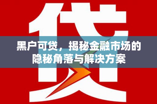 洋县黑户可贷，揭秘金融市场的隐秘角落与解决方案