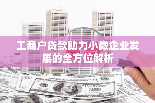 洋县工商户贷款助力小微企业发展的全方位解析