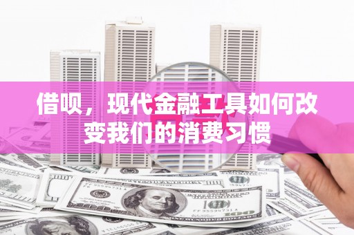 洋县借呗，现代金融工具如何改变我们的消费习惯
