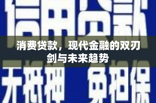 洋县消费贷款，现代金融的双刃剑与未来趋势