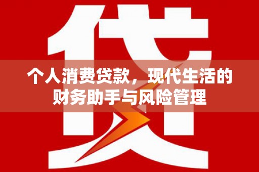 洋县个人消费贷款，现代生活的财务助手与风险管理