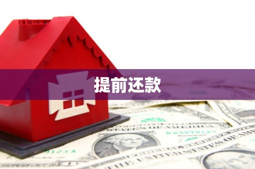 洋县提前还款