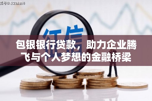 洋县包银银行贷款，助力企业腾飞与个人梦想的金融桥梁