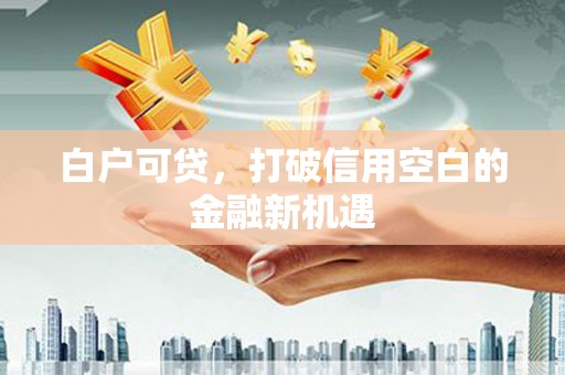 洋县白户可贷，打破信用空白的金融新机遇