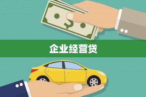 洋县企业经营贷