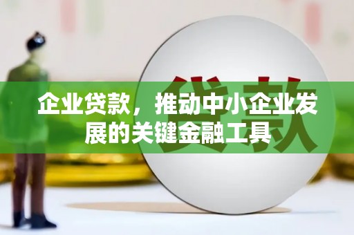 洋县企业贷款，推动中小企业发展的关键金融工具