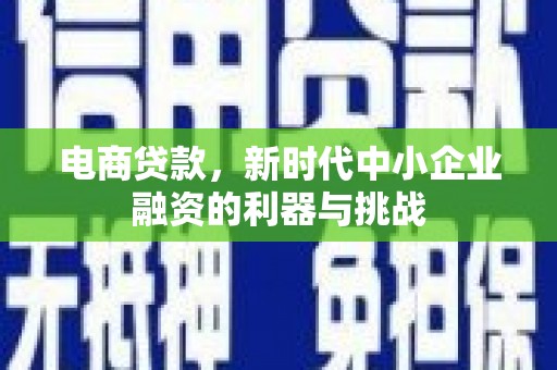 洋县电商贷款，新时代中小企业融资的利器与挑战