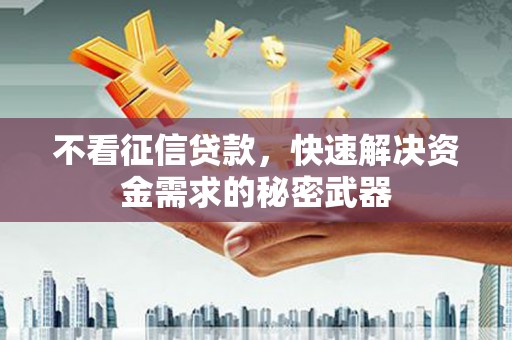 洋县不看征信贷款，快速解决资金需求的秘密武器
