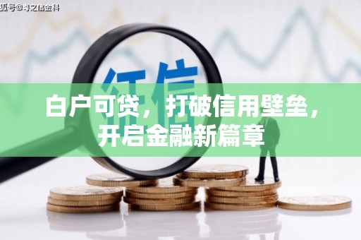 洋县白户可贷，打破信用壁垒，开启金融新篇章