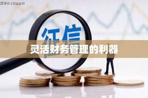 洋县灵活财务管理的利器