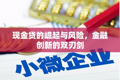 洋县现金贷的崛起与风险，金融创新的双刃剑