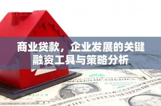 洋县商业贷款，企业发展的关键融资工具与策略分析