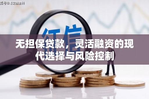 洋县无担保贷款，灵活融资的现代选择与风险控制