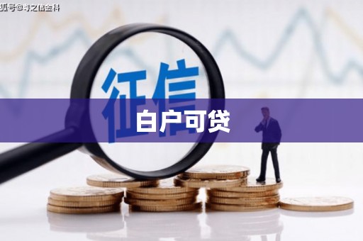 洋县白户可贷