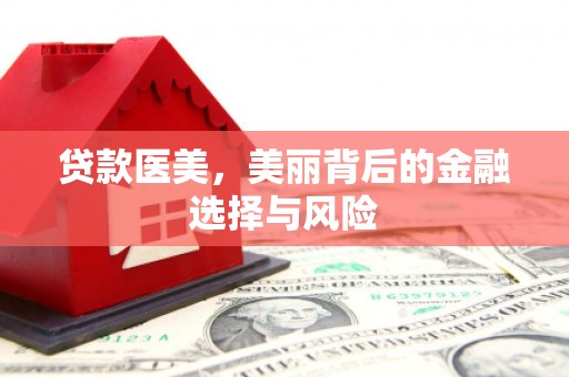 洋县贷款医美，美丽背后的金融选择与风险