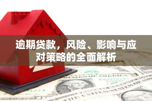 洋县逾期贷款，风险、影响与应对策略的全面解析