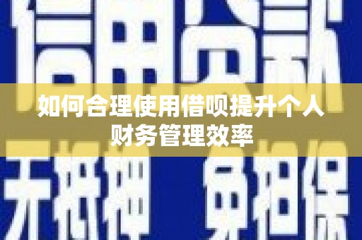 洋县如何合理使用借呗提升个人财务管理效率