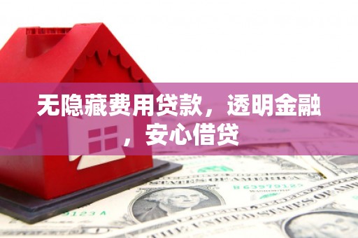 洋县无隐藏费用贷款，透明金融，安心借贷