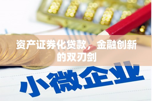 洋县资产证券化贷款，金融创新的双刃剑