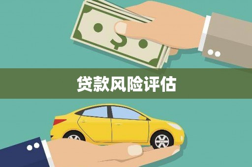 洋县贷款风险评估