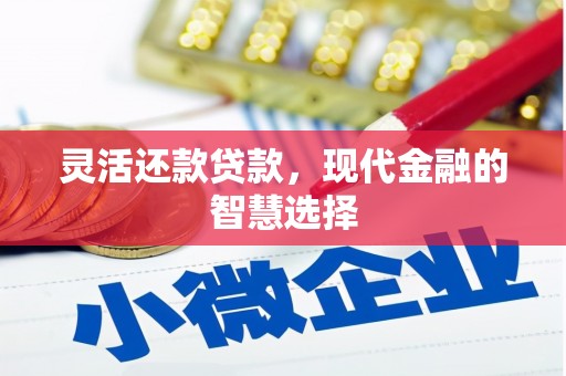 洋县灵活还款贷款，现代金融的智慧选择