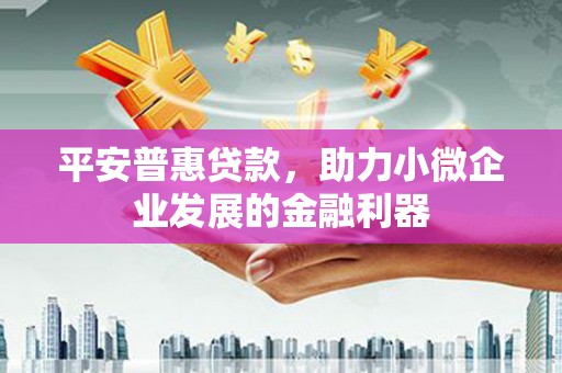 洋县平安普惠贷款，助力小微企业发展的金融利器