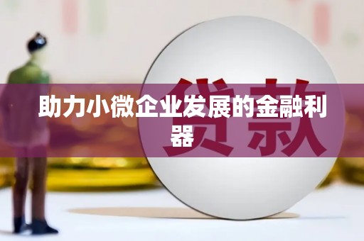 洋县助力小微企业发展的金融利器