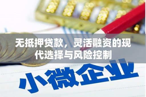 洋县无抵押贷款，灵活融资的现代选择与风险控制