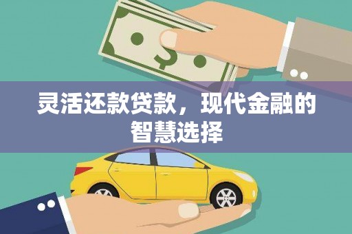 洋县灵活还款贷款，现代金融的智慧选择