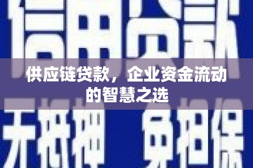 洋县供应链贷款，企业资金流动的智慧之选