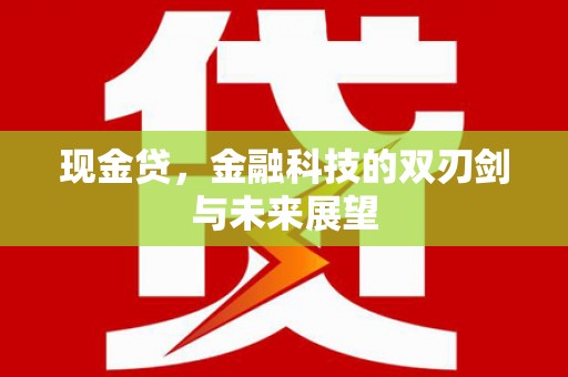 洋县现金贷，金融科技的双刃剑与未来展望