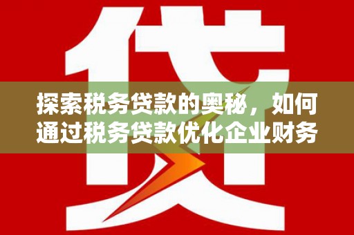 洋县探索税务贷款的奥秘，如何通过税务贷款优化企业财务