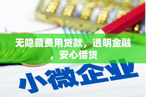 洋县无隐藏费用贷款，透明金融，安心借贷