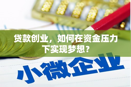 洋县贷款创业，如何在资金压力下实现梦想？