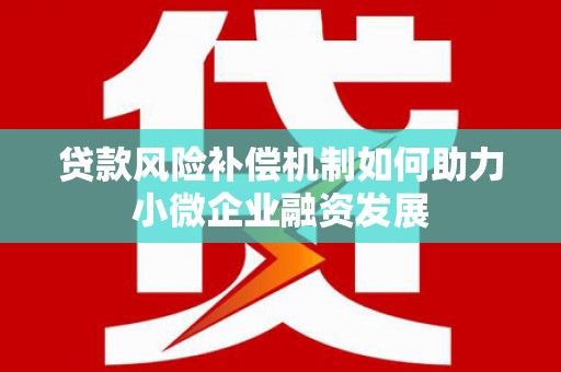 洋县贷款风险补偿机制如何助力小微企业融资发展