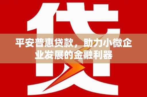 洋县平安普惠贷款，助力小微企业发展的金融利器