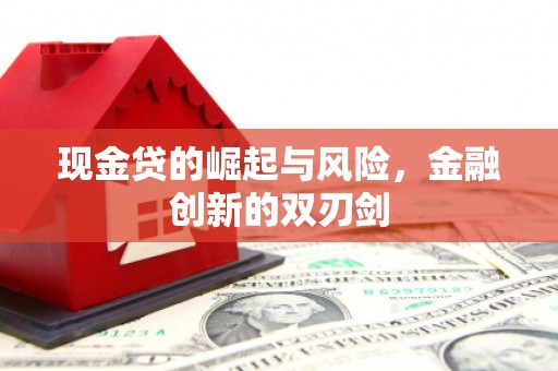 洋县现金贷的崛起与风险，金融创新的双刃剑