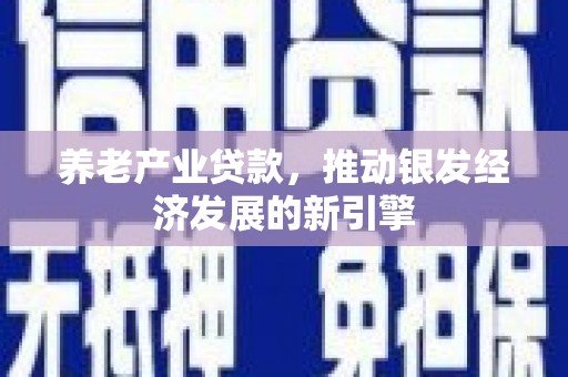 洋县养老产业贷款，推动银发经济发展的新引擎
