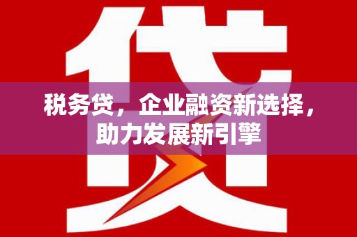 洋县税务贷，企业融资新选择，助力发展新引擎