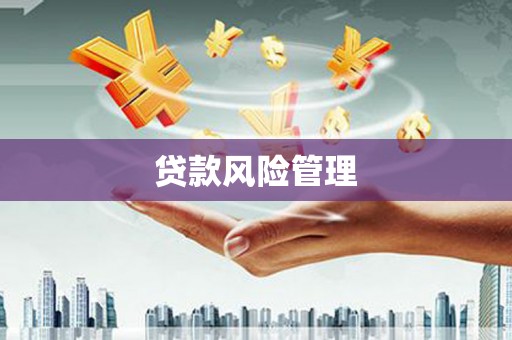 洋县贷款风险管理