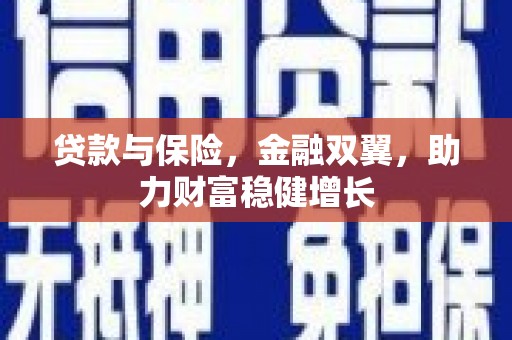 洋县贷款与保险，金融双翼，助力财富稳健增长