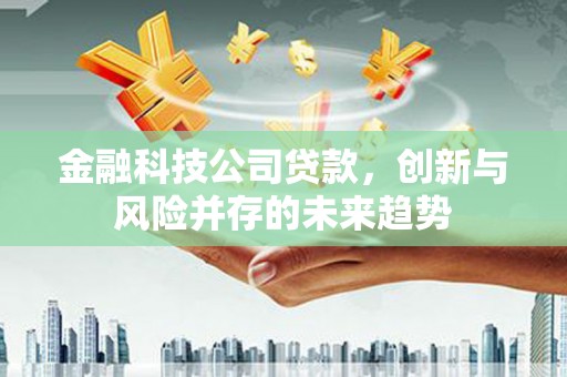 洋县金融科技公司贷款，创新与风险并存的未来趋势