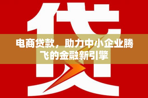 洋县电商贷款，助力中小企业腾飞的金融新引擎