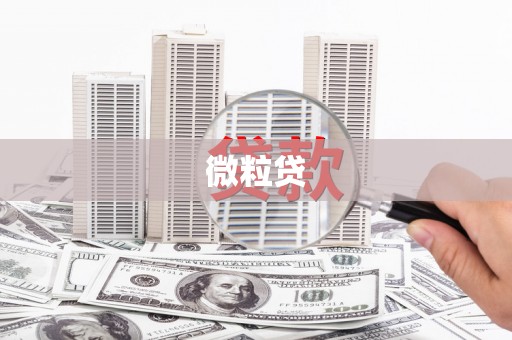 洋县微粒贷
