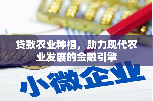 洋县贷款农业种植，助力现代农业发展的金融引擎