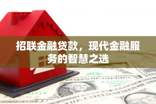 洋县招联金融贷款，现代金融服务的智慧之选