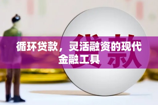 洋县循环贷款，灵活融资的现代金融工具