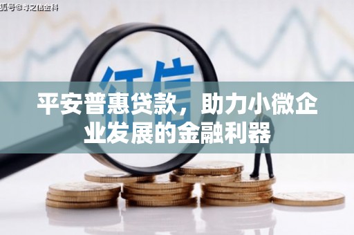 洋县平安普惠贷款，助力小微企业发展的金融利器