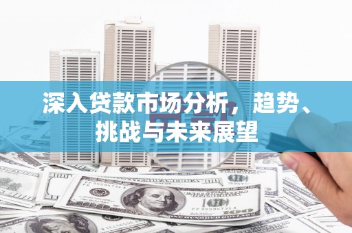 洋县深入贷款市场分析，趋势、挑战与未来展望